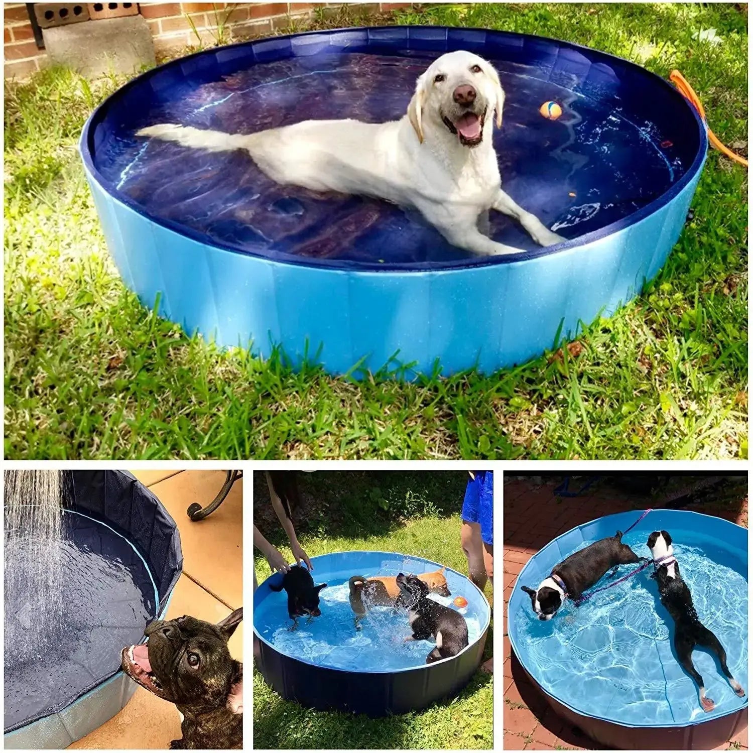 Foldable Dog Pool Pet Bath Swimming Tub Bathtub Outdoor Indoor Collapsible Bathing Pool For Dogs Cats Kids Pool - LUXURY CLOTHESMy store Foldable Dog Pool Pet Bath Swimming Tub Bathtub Outdoor Indoor Collapsible Bathing Pool For Dogs Cats Kids Pool My store