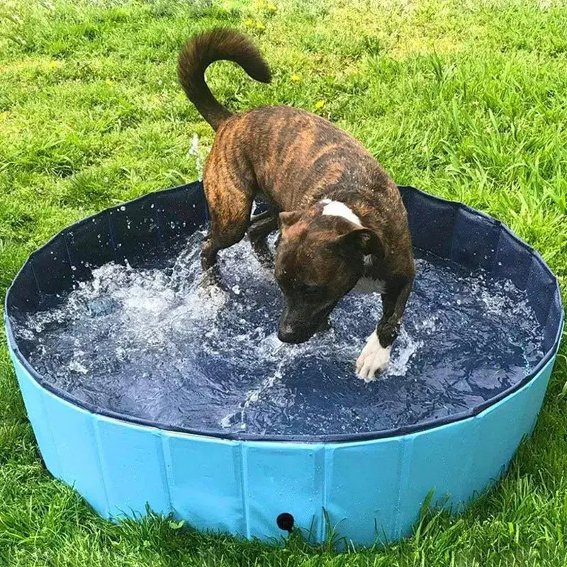 Foldable Dog Pool Pet Bath Swimming Tub Bathtub Outdoor Indoor Collapsible Bathing Pool For Dogs Cats Kids Pool - LUXURY CLOTHESMy store Foldable Dog Pool Pet Bath Swimming Tub Bathtub Outdoor Indoor Collapsible Bathing Pool For Dogs Cats Kids Pool My store