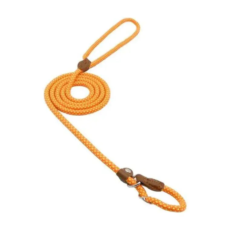 Nylon Pup Set - LUXURY CLOTHESLuxe & ClothingNylon Pup Set Luxe & Clothing